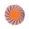 SD91.CA.GALAXY
